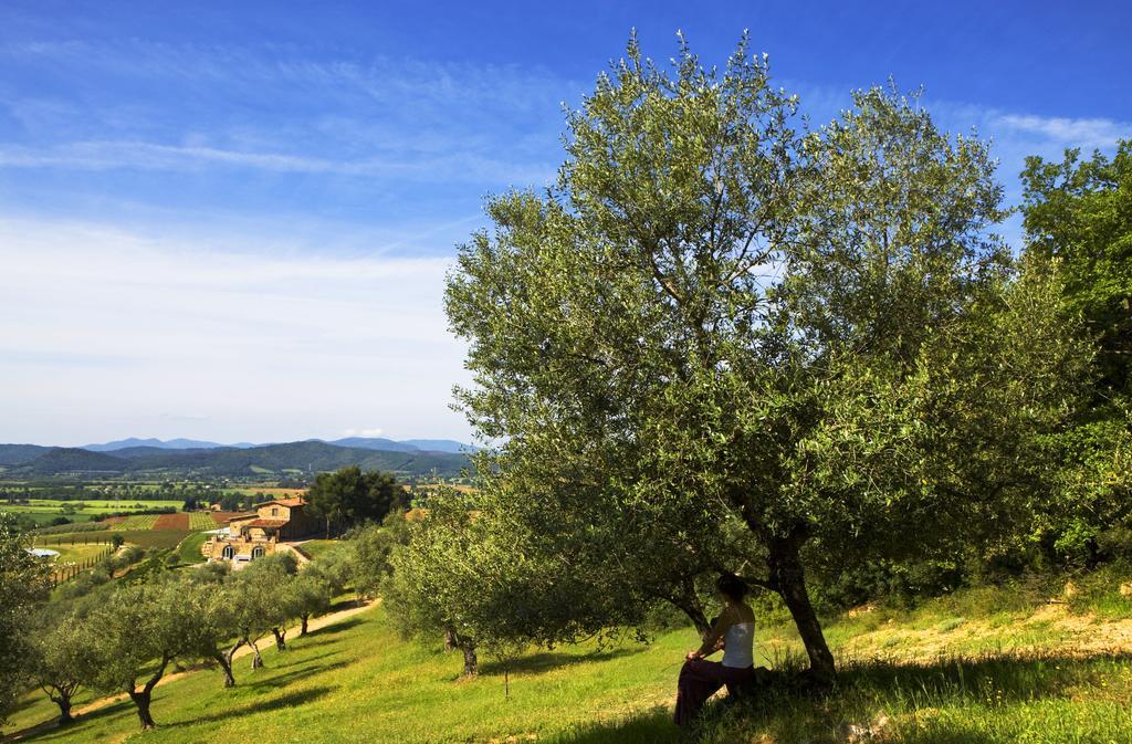 Wine Resort Conti Di San Bonifacio Ribolla エクステリア 写真