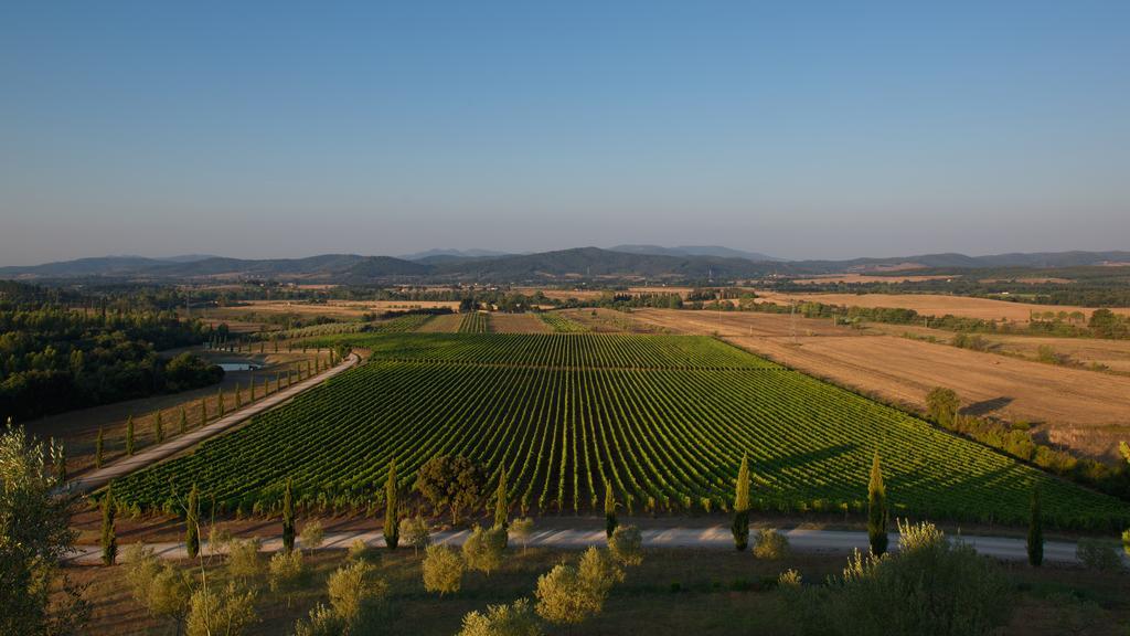Wine Resort Conti Di San Bonifacio Ribolla エクステリア 写真