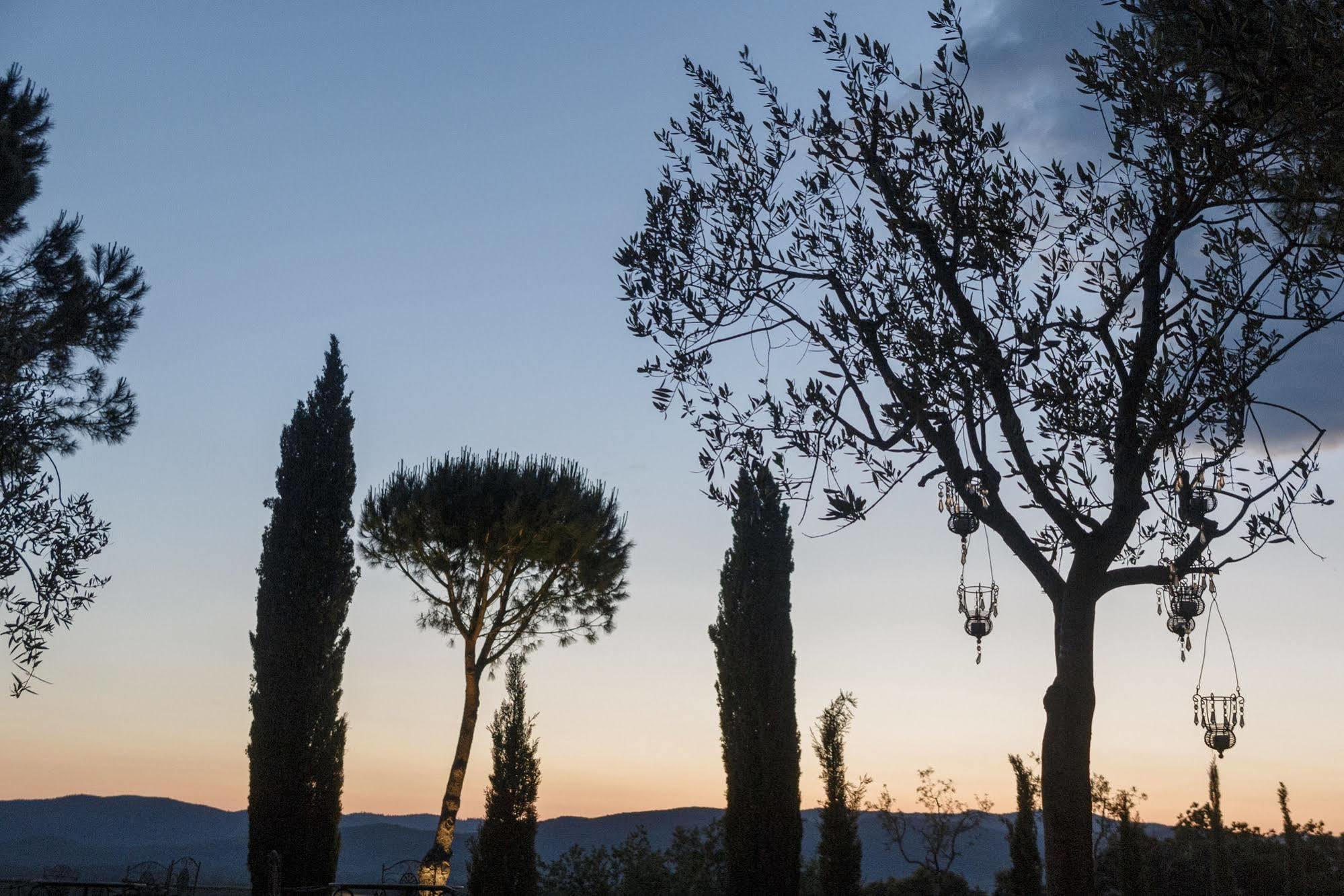 Wine Resort Conti Di San Bonifacio Ribolla エクステリア 写真